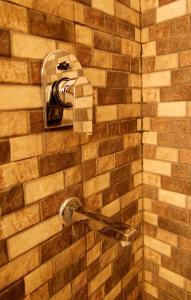 瓦拉纳西里维拉宫酒店的淋浴用肥皂分配器的砖墙