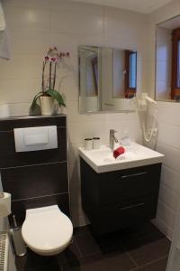乌姆豪森Appartment Bergheim的一间带水槽、卫生间和镜子的浴室