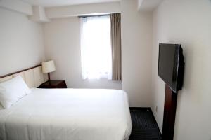 成田成田爱森酒店的配有一张床和一台平面电视的酒店客房