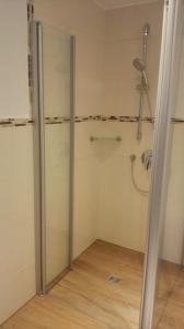 翁特尔韦森Berghof Moar的浴室里设有玻璃门淋浴