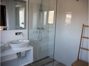 别洛瓦尔Bed&Breakfast Vinarija Coner的白色的浴室设有水槽和淋浴。