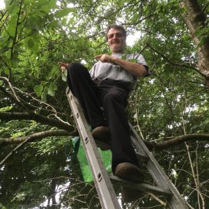Dronninglund埃勒凯-加德酒店的坐在树上梯子上的男人
