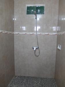 蓝梦岛韦迪彭杜克宾馆的浴室内配有淋浴和头顶淋浴