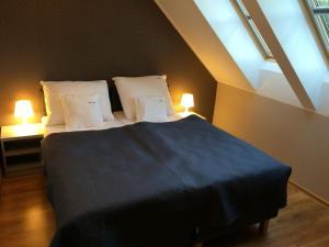 米泽德沃兹Apartamenty Villa Baltic Sun II i III的卧室配有带枕头的床铺和窗户。