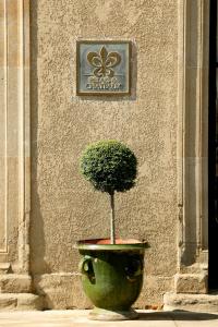 卡尔卡松Domaine d'Auriac - Relais & Châteaux的建筑物前大锅里的一棵小树