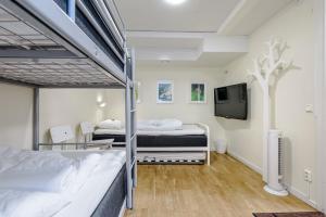 城市旅舍客房内的一张或多张双层床