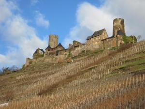 阿尔肯B&U Fewo Scherhag的一座城堡,位于一座拥有葡萄园的山顶上