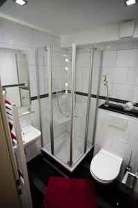 杜伊斯堡Hotel Am Sportpark的带淋浴、卫生间和盥洗盆的浴室