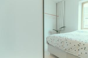 阿尔斯特AP8 city & park apartement的一间卧室配有一张床和镜子