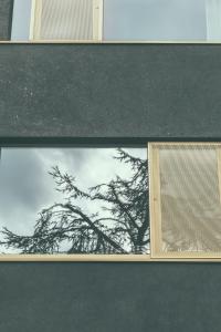 阿尔斯特AP8 city & park apartement的建筑物窗户上的树倒影