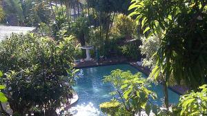 VerulamNonkululeko Accommodation 2的花园内的一个小型游泳池,花园内种有树木
