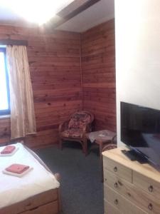 哈拉霍夫Hotel Anna的带电视的客房和一间带木墙的卧室