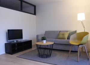 瑞纳Trudvang Apartment Hotel的带沙发、桌子和电视的客厅
