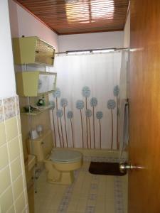 Santo DomingoHabitacion Santo Domingo, Heredia的一间带卫生间和淋浴帘的浴室