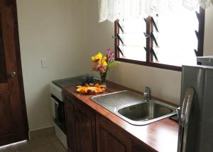卢甘维尔Santo Seaside Villas的厨房柜台设有水槽和花瓶