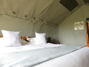 Woodbury Tented Camp – Amakhala Game Reserve客房内的一张或多张床位