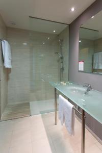 托雷利亚诺Hotel AG Express Elche的一间带水槽和淋浴的浴室