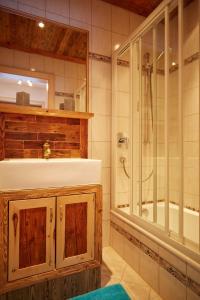 莱奥冈加斯纳公寓的浴室配有水槽、淋浴和浴缸。