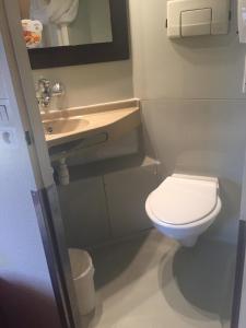 日尔南格勒诺布尔 - 吉尔斯大学普瑞米尔经典酒店的一间带卫生间和水槽的小浴室