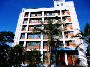 瓜鲁柳斯圣丹尼尔酒店的一座高大的白色建筑,前面有棕榈树