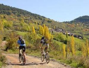 塞奥-德乌赫尔Entre els pirineus的两个人骑着自行车沿着土路走