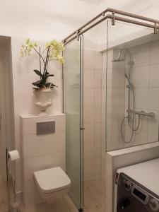 伍珀塔尔Business Apartment Briller Viertel的一间带卫生间和玻璃淋浴间的浴室