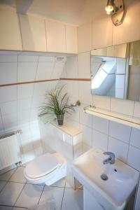 Ferienwohnung Wieben的一间浴室