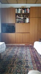 卢布尔雅那Apartment Tatjana的带沙发和地毯的客厅