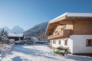 罗孚尔洛弗阿尔卑斯山景公寓的一座山地雪地建筑