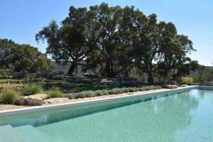 马萨马里蒂马Le Moraiole的一座树木环绕的游泳池