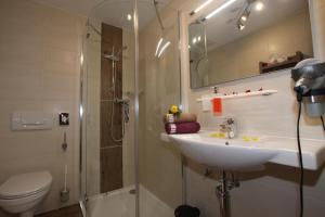 贝旺西巴赫豪斯酒店的一间带水槽、淋浴和卫生间的浴室