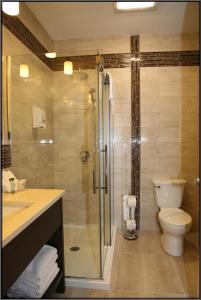 拉拜奥伯格戴斯巴特瑞斯酒店的带淋浴、卫生间和盥洗盆的浴室