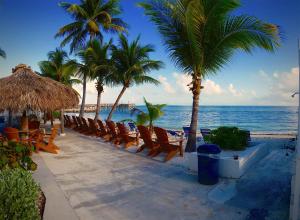 马拉松克殖民地海滩汽车旅馆的海滩上一排椅子和棕榈树
