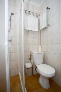 沃姆扎Labirynt的一间带卫生间和淋浴的小浴室