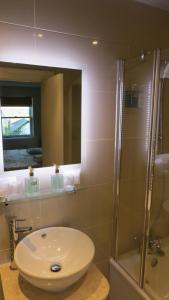 瓦伊河畔罗斯王首酒店的浴室配有盥洗盆和带镜子的淋浴