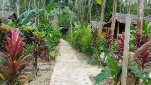 高兰兰达迈玖简易别墅山林小屋的穿过种有许多植物的花园的路径