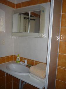 姆拉代布基Mladé Buky 261的浴室设有白色水槽和镜子