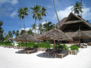 马特姆维Zoi Boutique Hotel Zanzibar ex Sunshine Hotel的海滩上设有椅子和遮阳伞,棕榈树