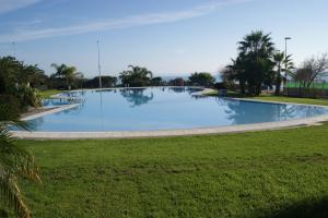 阿尔考斯布里Alcocebre Beach Resort的公园里的一个大型游泳池,有树木和草地