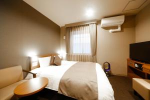 富山多美迎富山酒店的一间酒店客房,配有一张床和一台电视