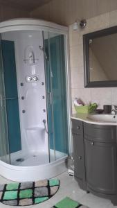 塞内泰梅泽德尚布赫酒店的带淋浴和盥洗盆的浴室