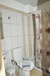 毕达哥利翁Mykali Hotel的一间带卫生间和淋浴帘的浴室