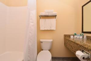 摩根敦摩根敦智选假日酒店的一间带卫生间、淋浴和毛巾的浴室