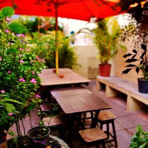 萨尔瓦多Hostel Galeria 13的庭院设有桌子和长凳,种有植物,配有雨伞