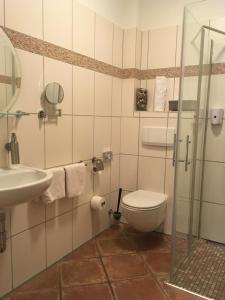 拉策堡姆勒法赫纳尔酒店的一间带卫生间和水槽的浴室