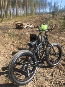 曼蒂哈尔尤林科姆利度假屋的停在树林里的土路上的自行车