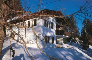 瑞吉卡尔巴德Rigirolle的雪中白房子,有树