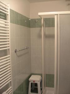巴多尼奇亚斯玫蕾酒店的带淋浴的浴室以及带体重秤的卫生间。