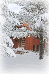 RisovacVikendica Pahuljica的雪中木舱,有树