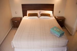 圣佩德罗·德·阿塔卡马Hostal Anpaymi Atacama的一间卧室配有一张带两个枕头的床